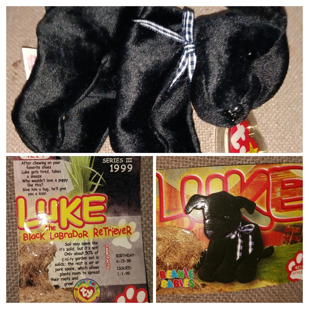 Ty Beanie Baby Luke Black Labrador Retriever